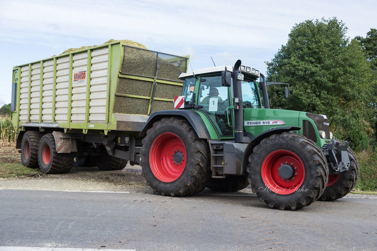 Bild 118 - Maisernte